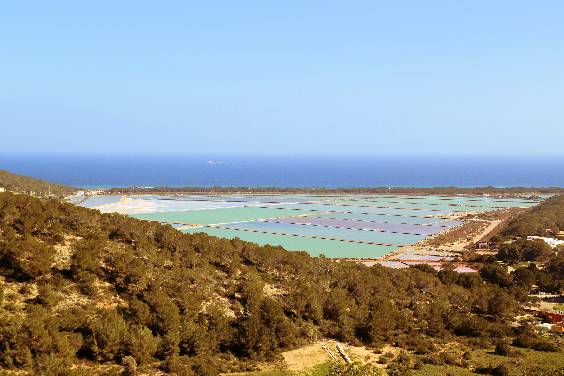 Salinas – Where Ibiza’s Famous Salt Is Produced